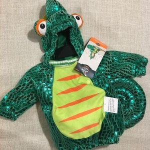 Chameleon Costume